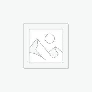 Wireless Lan Controller (WLC)